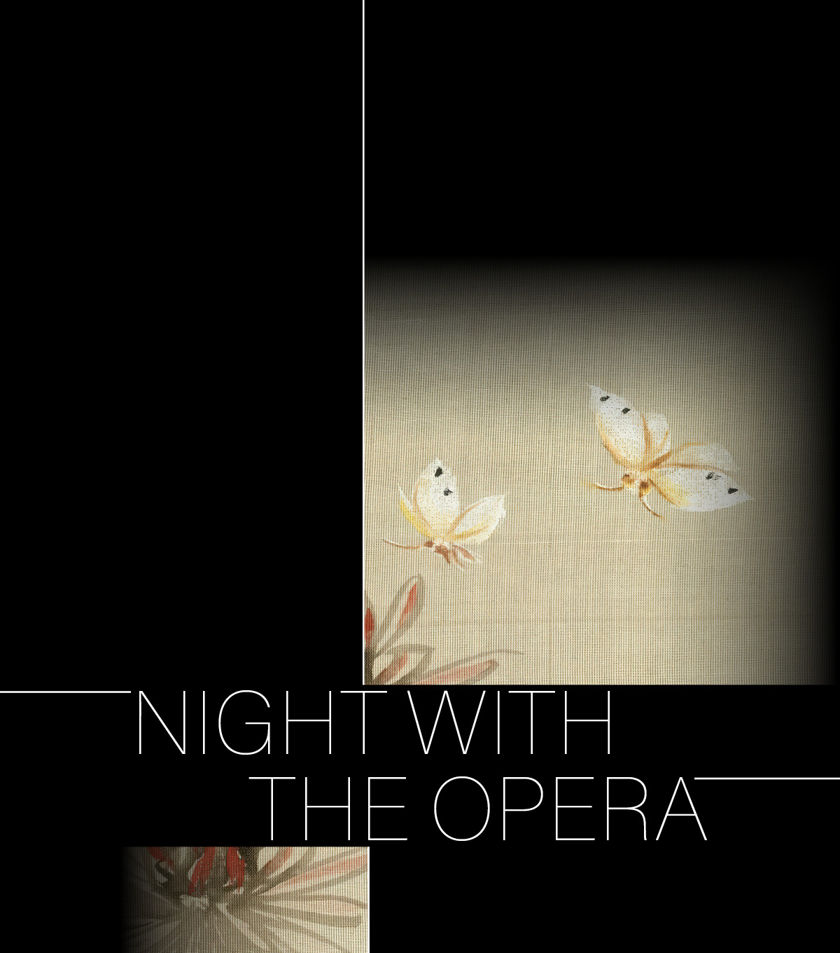 Night with the Opera