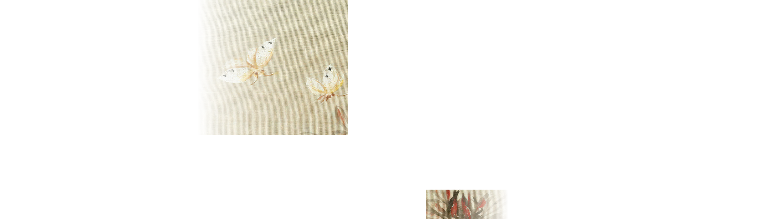 Night with the Opera