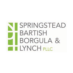 Springstead Bartish Borgula & Lynch